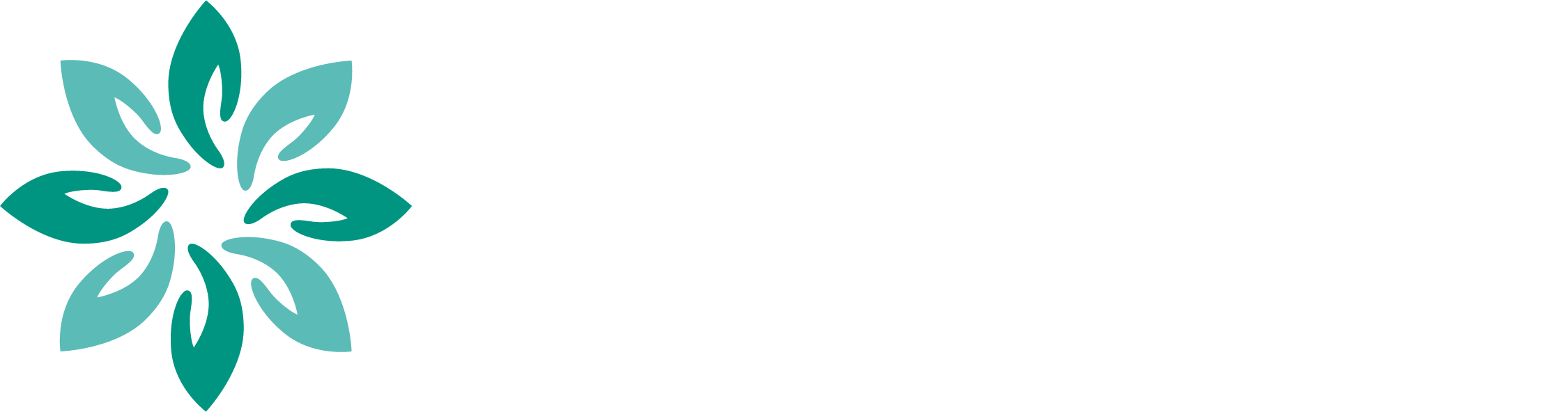 Rede Santa Catarina